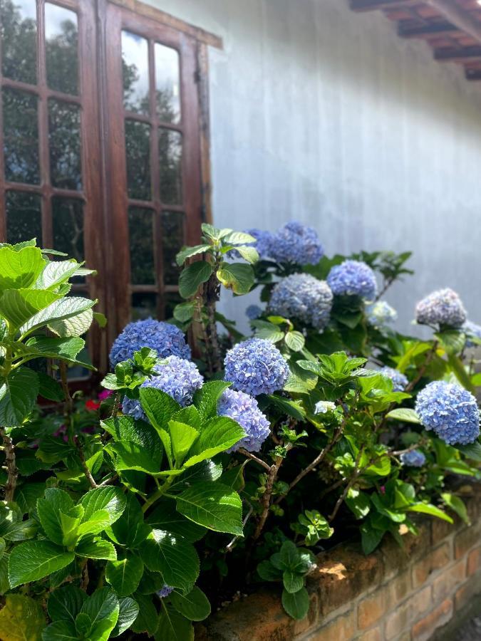 הוילה פלמייראס Casa Mirante Do Capao מראה חיצוני תמונה