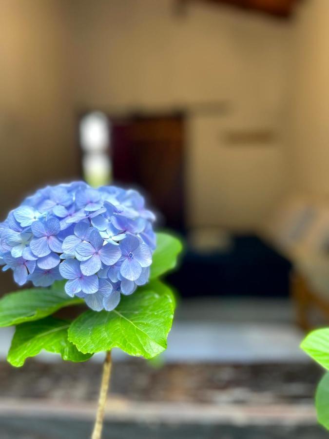 הוילה פלמייראס Casa Mirante Do Capao מראה חיצוני תמונה