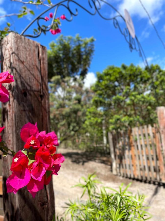 הוילה פלמייראס Casa Mirante Do Capao מראה חיצוני תמונה